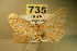  ( - BC NP 0139)  @13 [ ] Copyright (2010) Unspecified Research Collection of Norbert Poell