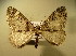  ( - BC NP 0173)  @13 [ ] Copyright (2010) Unspecified Research Collection of Norbert Poell