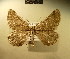  ( - BC NP 0183)  @12 [ ] Copyright (2010) Unspecified Research Collection of Norbert Poell