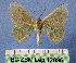  (Kuchleria insignata - BC ZSM Lep 12096)  @14 [ ] Copyright (2010) Unspecified SNSB, Zoologische Staatssammlung Muenchen