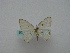  ( - BC ZSM Lep 16164)  @12 [ ] CreativeCommons - Attribution Non-Commercial Share-Alike (2010) Unspecified SNSB, Zoologische Staatssammlung Muenchen