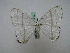  ( - BC ZSM Lep 16210)  @13 [ ] CreativeCommons - Attribution Non-Commercial Share-Alike (2010) Unspecified SNSB, Zoologische Staatssammlung Muenchen