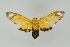  ( - BC ZSM Lep 16660)  @14 [ ] CreativeCommons - Attribution Non-Commercial Share-Alike (2010) Unspecified SNSB, Zoologische Staatssammlung Muenchen