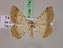  ( - BC ZSM Lep 17435)  @14 [ ] CreativeCommons - Attribution Non-Commercial Share-Alike (2010) Unspecified SNSB, Zoologische Staatssammlung Muenchen