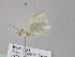  ( - BC ZSM Lep 17834)  @11 [ ] CreativeCommons - Attribution Non-Commercial Share-Alike (2010) Unspecified SNSB, Zoologische Staatssammlung Muenchen