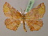  ( - BC ZSM Lep 22385)  @13 [ ] CreativeCommons - Attribution Non-Commercial Share-Alike (2010) Unspecified SNSB, Zoologische Staatssammlung Muenchen