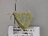  ( - BC ZSM Lep 22456)  @12 [ ] CreativeCommons - Attribution Non-Commercial Share-Alike (2010) Unspecified SNSB, Zoologische Staatssammlung Muenchen