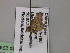  ( - BC ZSM Lep 22467)  @12 [ ] CreativeCommons - Attribution Non-Commercial Share-Alike (2010) Unspecified SNSB, Zoologische Staatssammlung Muenchen
