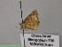  ( - BC ZSM Lep 22468)  @12 [ ] CreativeCommons - Attribution Non-Commercial Share-Alike (2010) Unspecified SNSB, Zoologische Staatssammlung Muenchen