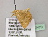  ( - BC ZSM Lep 22470)  @12 [ ] CreativeCommons - Attribution Non-Commercial Share-Alike (2010) Unspecified SNSB, Zoologische Staatssammlung Muenchen