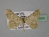  ( - BC ZSM Lep 23930)  @11 [ ] CreativeCommons - Attribution Non-Commercial Share-Alike (2010) Unspecified SNSB, Zoologische Staatssammlung Muenchen
