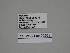  ( - SE MNC Lep 00201)  @11 [ ] Copyright (2010) Unspecified Museum fuer Naturkunde, Chemnitz