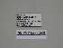  ( - SE MNC Lep 00202)  @11 [ ] Copyright (2010) Unspecified Museum fuer Naturkunde, Chemnitz