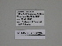  ( - SE MNC Lep 00204)  @11 [ ] Copyright (2010) Unspecified Museum fuer Naturkunde, Chemnitz