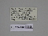  ( - SE MNC Lep 00212)  @11 [ ] Copyright (2010) Unspecified Museum fuer Naturkunde, Chemnitz