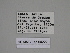  ( - SE MNC Lep 00222)  @11 [ ] Copyright (2010) Unspecified Museum fuer Naturkunde, Chemnitz