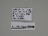  ( - SE MNC Lep 00245)  @11 [ ] Copyright (2010) Unspecified Museum fuer Naturkunde, Chemnitz