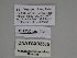  ( - SE MNC Lep 00278)  @11 [ ] Copyright (2010) Unspecified Museum fuer Naturkunde, Chemnitz