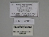  ( - SE MNC Lep 00279)  @11 [ ] Copyright (2010) Unspecified Museum fuer Naturkunde, Chemnitz