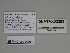  ( - SE MNC Lep 00282)  @12 [ ] Copyright (2010) Unspecified Museum fuer Naturkunde, Chemnitz