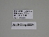  ( - SE MNC Lep 00324)  @11 [ ] Copyright (2010) Unspecified Museum fuer Naturkunde, Chemnitz