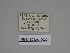  ( - SE MNC Lep 00334)  @11 [ ] Copyright (2010) Unspecified Museum fuer Naturkunde, Chemnitz