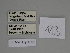  ( - SE MNC Lep 00356)  @11 [ ] Copyright (2010) Unspecified Museum fuer Naturkunde, Chemnitz