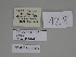  ( - SE MNC Lep 00359)  @11 [ ] Copyright (2010) Unspecified Museum fuer Naturkunde, Chemnitz