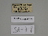  ( - SE MNC Lep 00360)  @11 [ ] Copyright (2010) Unspecified Museum fuer Naturkunde, Chemnitz