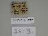  ( - SE MNC Lep 00361)  @11 [ ] Copyright (2010) Unspecified Museum fuer Naturkunde, Chemnitz