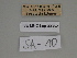  ( - SE MNC Lep 00362)  @11 [ ] Copyright (2010) Unspecified Museum fuer Naturkunde, Chemnitz