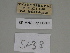  ( - SE MNC Lep 00363)  @11 [ ] Copyright (2010) Unspecified Museum fuer Naturkunde, Chemnitz