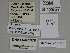  ( - SE MNC Lep 00367)  @11 [ ] Copyright (2010) Unspecified Museum fuer Naturkunde, Chemnitz