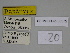  ( - SE MNC Lep 00372)  @11 [ ] Copyright (2010) Unspecified Museum fuer Naturkunde, Chemnitz
