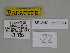  ( - SE MNC Lep 00374)  @11 [ ] Copyright (2010) Unspecified Museum fuer Naturkunde, Chemnitz