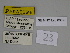  ( - SE MNC Lep 00375)  @11 [ ] Copyright (2010) Unspecified Museum fuer Naturkunde, Chemnitz
