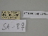  ( - SE MNC Lep 00405)  @11 [ ] Copyright (2010) Unspecified Museum fuer Naturkunde, Chemnitz