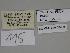  ( - SE MNC Lep 00408)  @11 [ ] Copyright (2010) Unspecified Museum fuer Naturkunde, Chemnitz