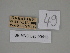  ( - SE MNC Lep 00413)  @11 [ ] Copyright (2010) Unspecified Museum fuer Naturkunde, Chemnitz