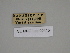  ( - SE MNC Lep 00415)  @11 [ ] Copyright (2010) Unspecified Museum fuer Naturkunde, Chemnitz