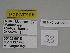  ( - SE MNC Lep 00439)  @11 [ ] Copyright (2010) Unspecified Museum fuer Naturkunde, Chemnitz