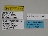  ( - SE MNC Lep 00440)  @11 [ ] Copyright (2010) Unspecified Museum fuer Naturkunde, Chemnitz