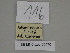  ( - SE MNC Lep 00470)  @11 [ ] Copyright (2010) Unspecified Museum fuer Naturkunde, Chemnitz
