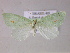  ( - BC ZSM Lep 05976)  @14 [ ] CreativeCommons - Attribution Non-Commercial Share-Alike (2010) Unspecified SNSB, Zoologische Staatssammlung Muenchen