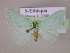  (Trimetopia coerulea - BC ZSM Lep 14895)  @12 [ ] CreativeCommons - Attribution Non-Commercial Share-Alike (2010) Unspecified SNSB, Zoologische Staatssammlung Muenchen