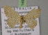  (Scopula amalaAH01 - BC ZSM Lep 14967)  @11 [ ] CreativeCommons - Attribution Non-Commercial Share-Alike (2010) Unspecified SNSB, Zoologische Staatssammlung Muenchen