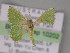  (Comostola AH01Au - BC ZSM Lep 10202)  @11 [ ] CreativeCommons - Attribution Non-Commercial Share-Alike (2010) Unspecified SNSB, Zoologische Staatssammlung Muenchen
