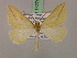  ( - BC ZSM Lep 17276)  @14 [ ] CreativeCommons - Attribution Non-Commercial Share-Alike (2010) Unspecified SNSB, Zoologische Staatssammlung Muenchen