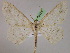  ( - BC ZSM Lep 05176)  @13 [ ] CreativeCommons - Attribution Non-Commercial Share-Alike (2010) Unspecified SNSB, Zoologische Staatssammlung Muenchen