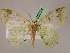  ( - BC ZSM Lep 05594)  @13 [ ] CreativeCommons - Attribution Non-Commercial Share-Alike (2010) Unspecified SNSB, Zoologische Staatssammlung Muenchen